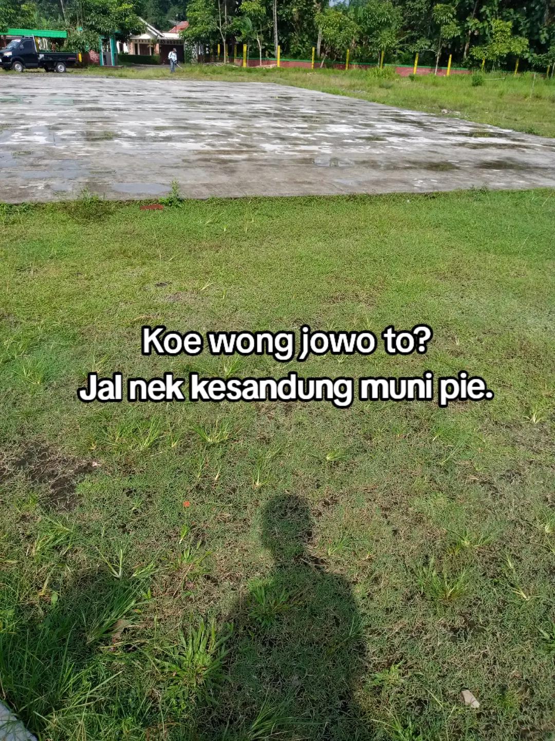@ganhowheng
