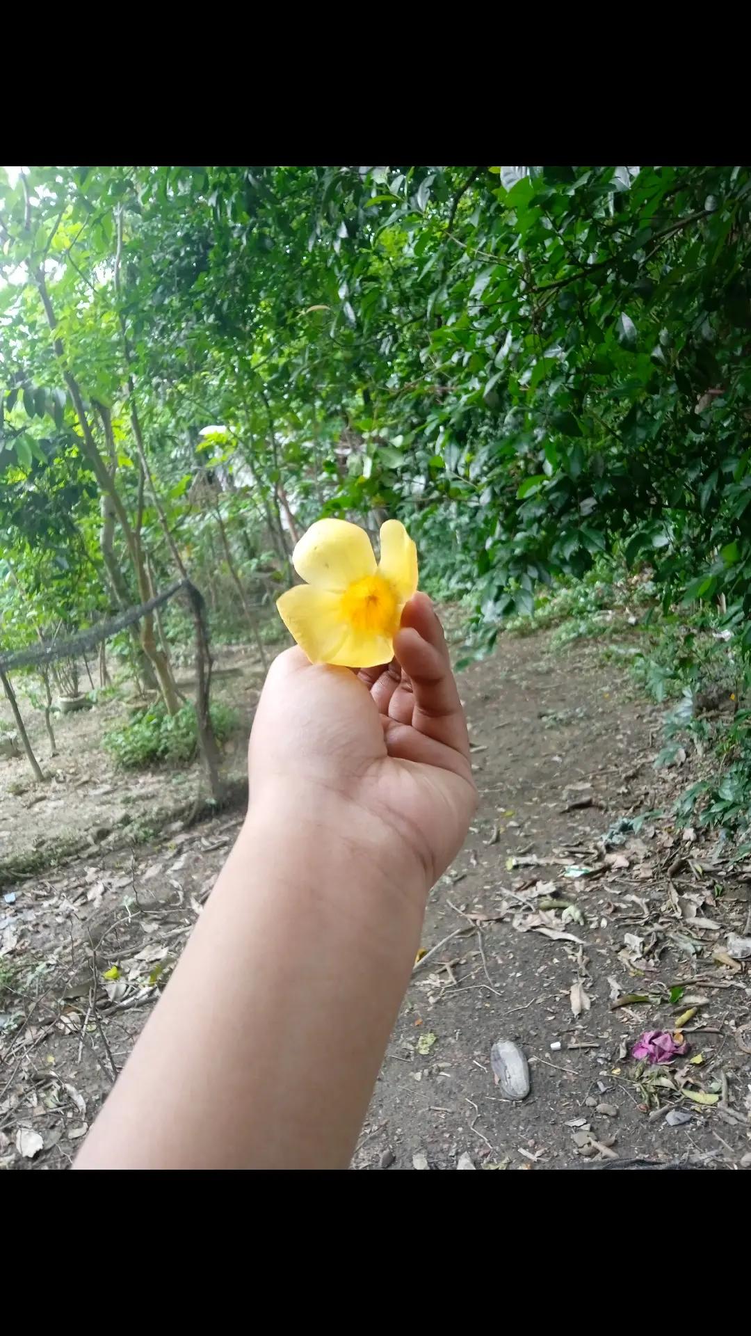 @&reg;&reg;__&reg;✨💌