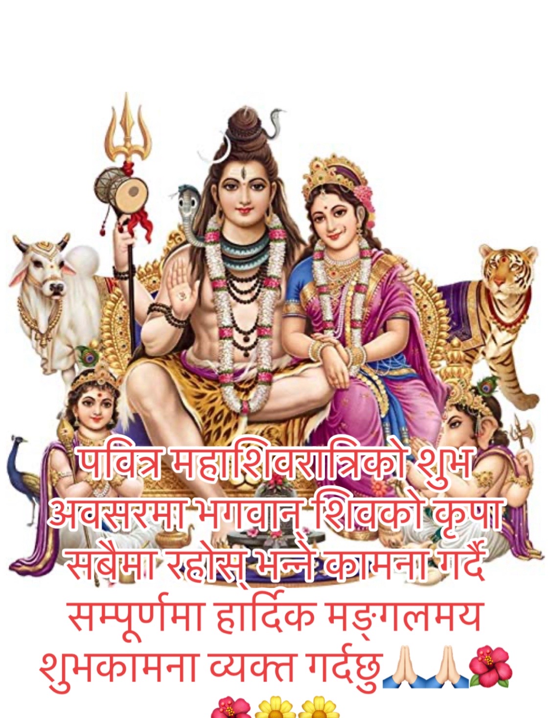 @💕👸MaMta DeV R JoShi🇳🇵💎👸