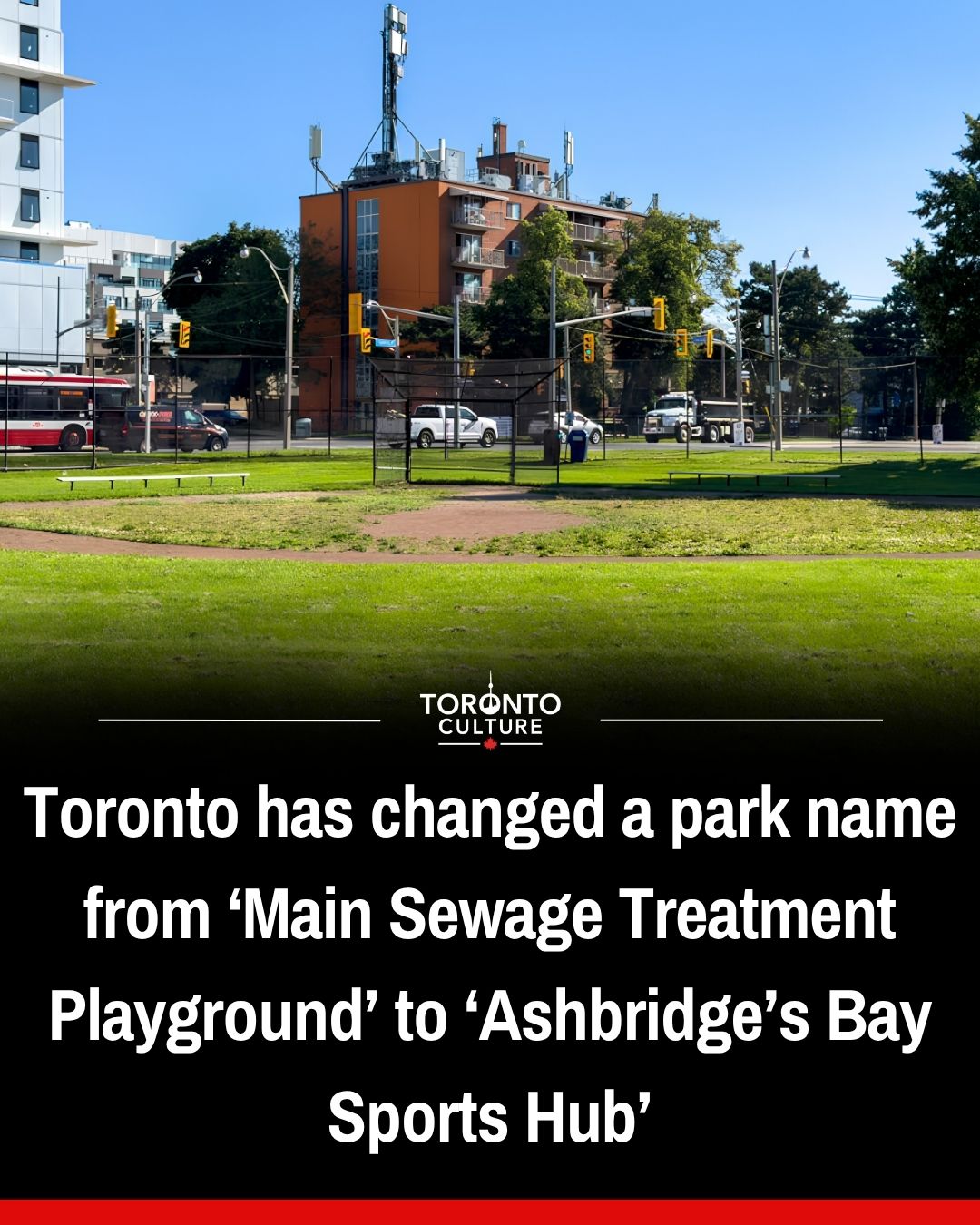 @Toronto Culture