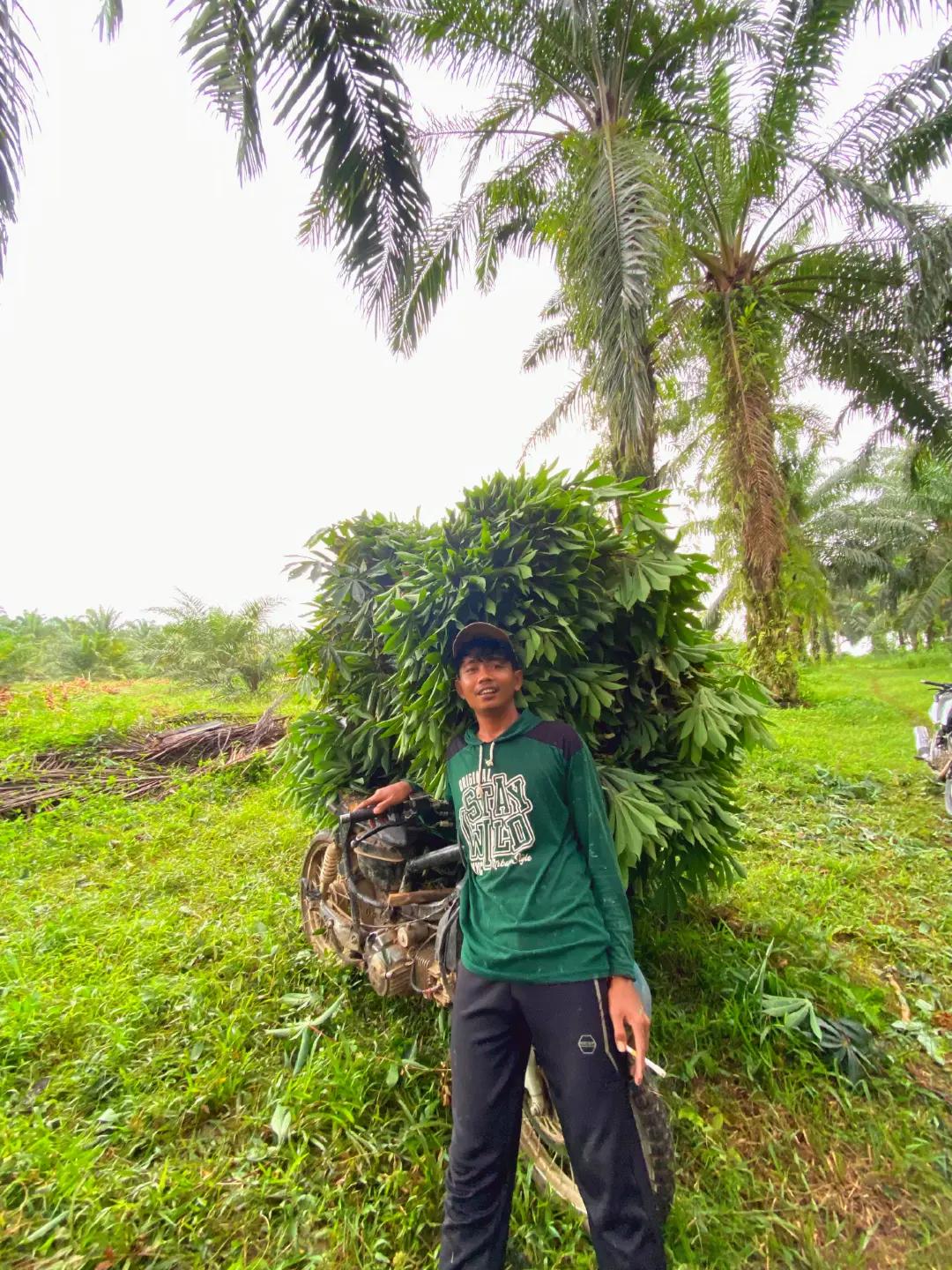 @RLANGGA