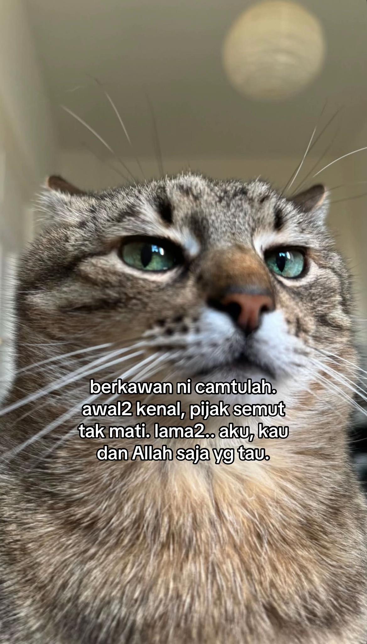 @ngeong prot prot