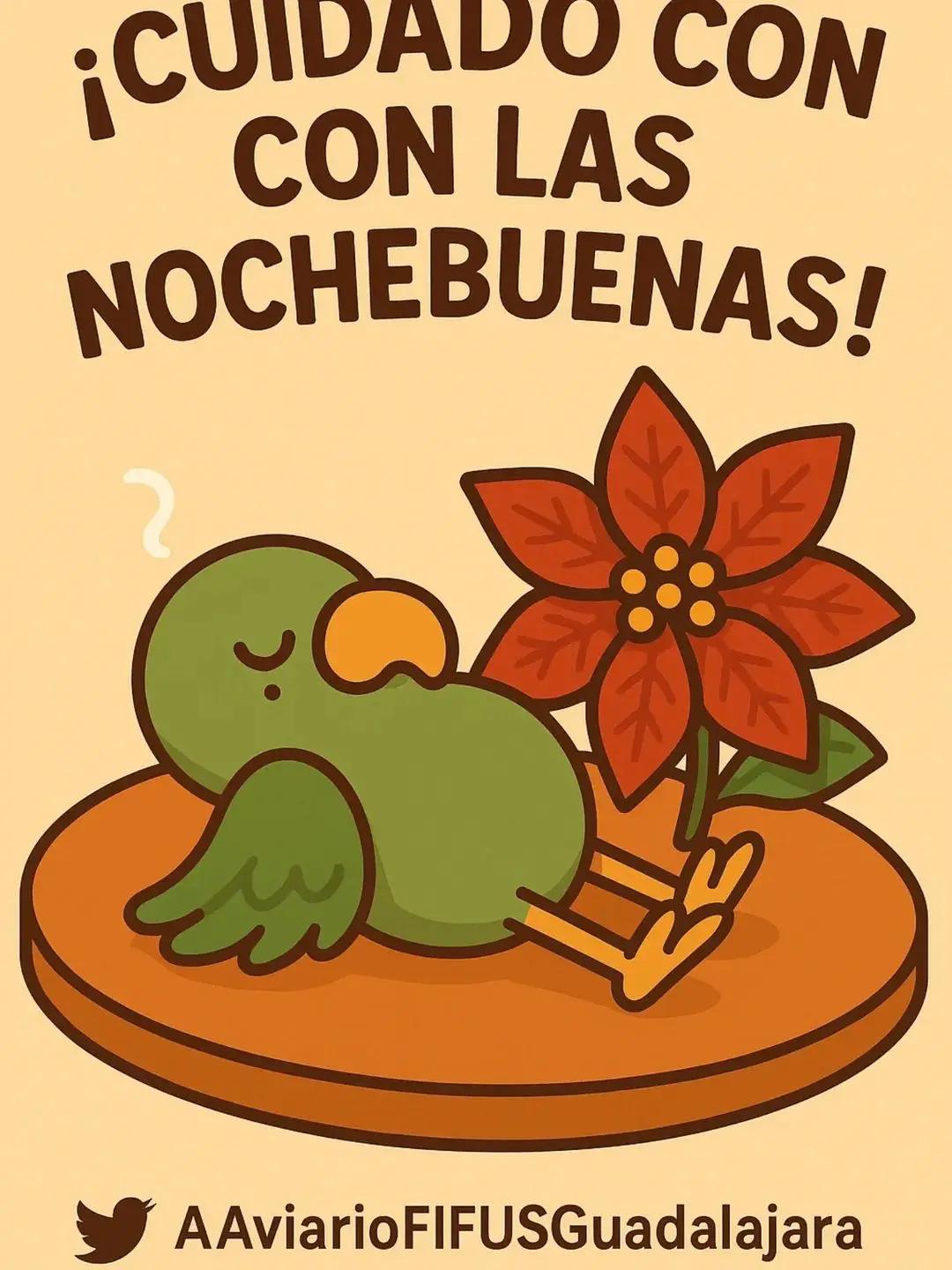 @Aviario FIFUS Guadalajara