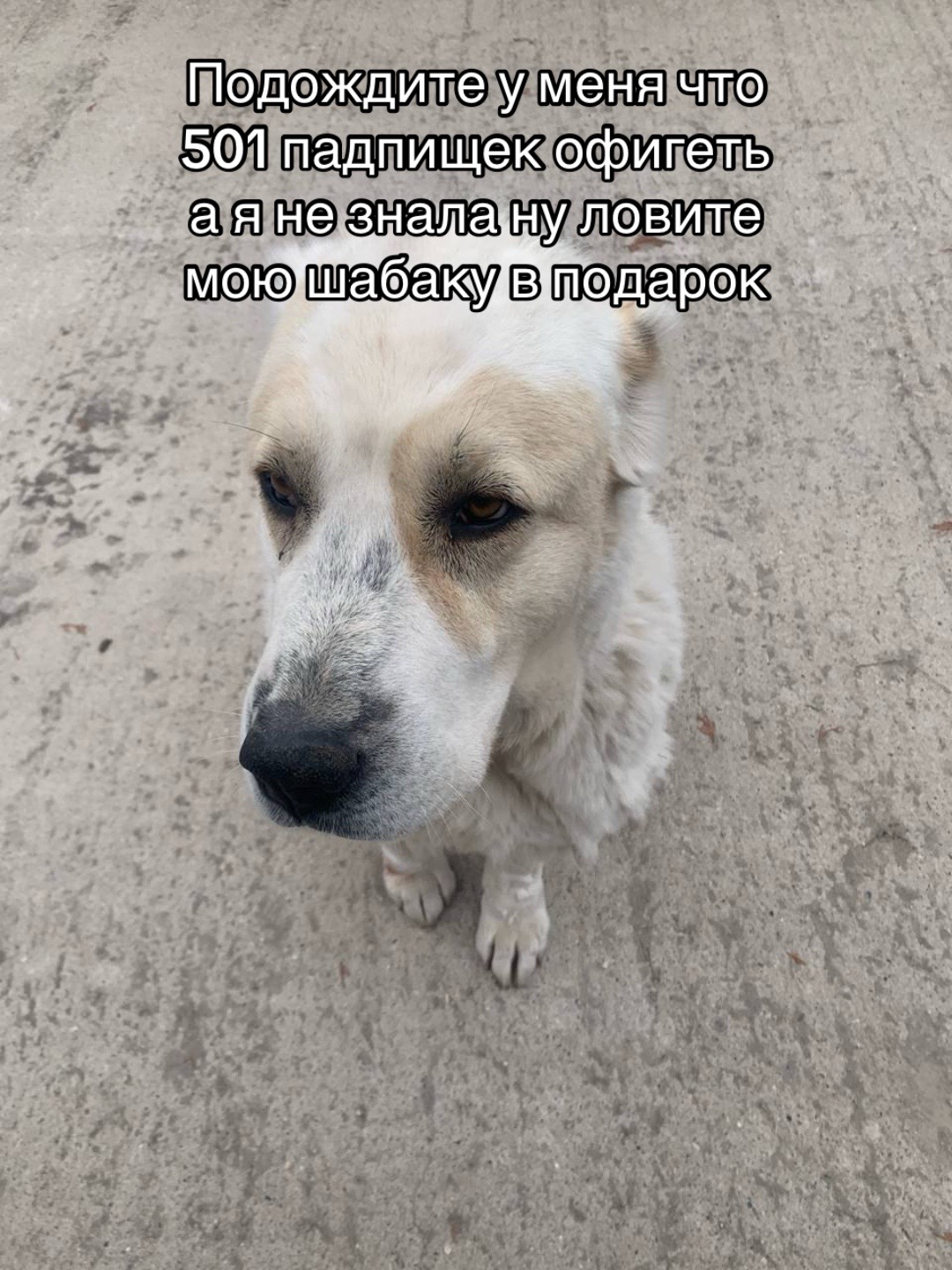 @лестница деревянная