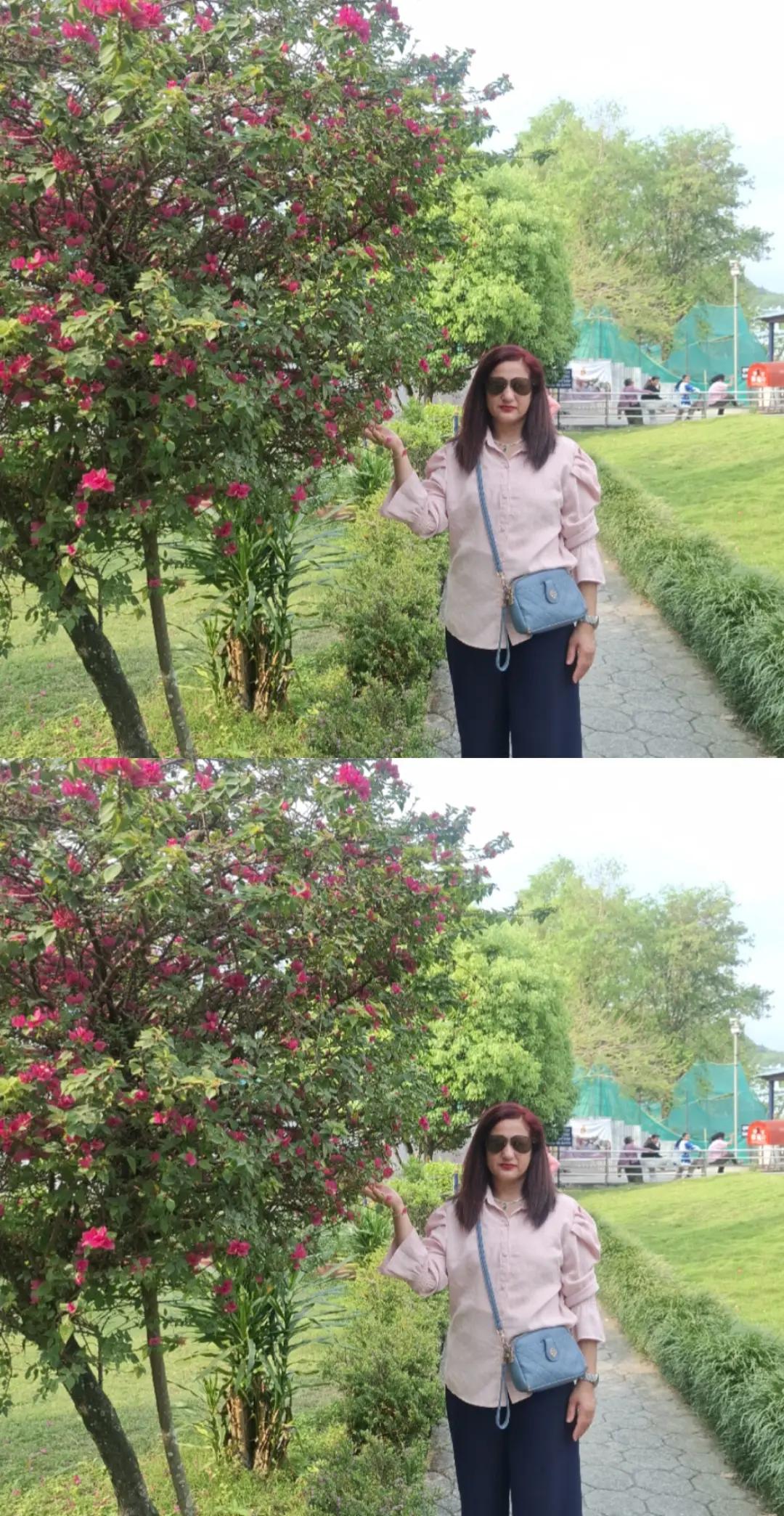 @Lila Aryal