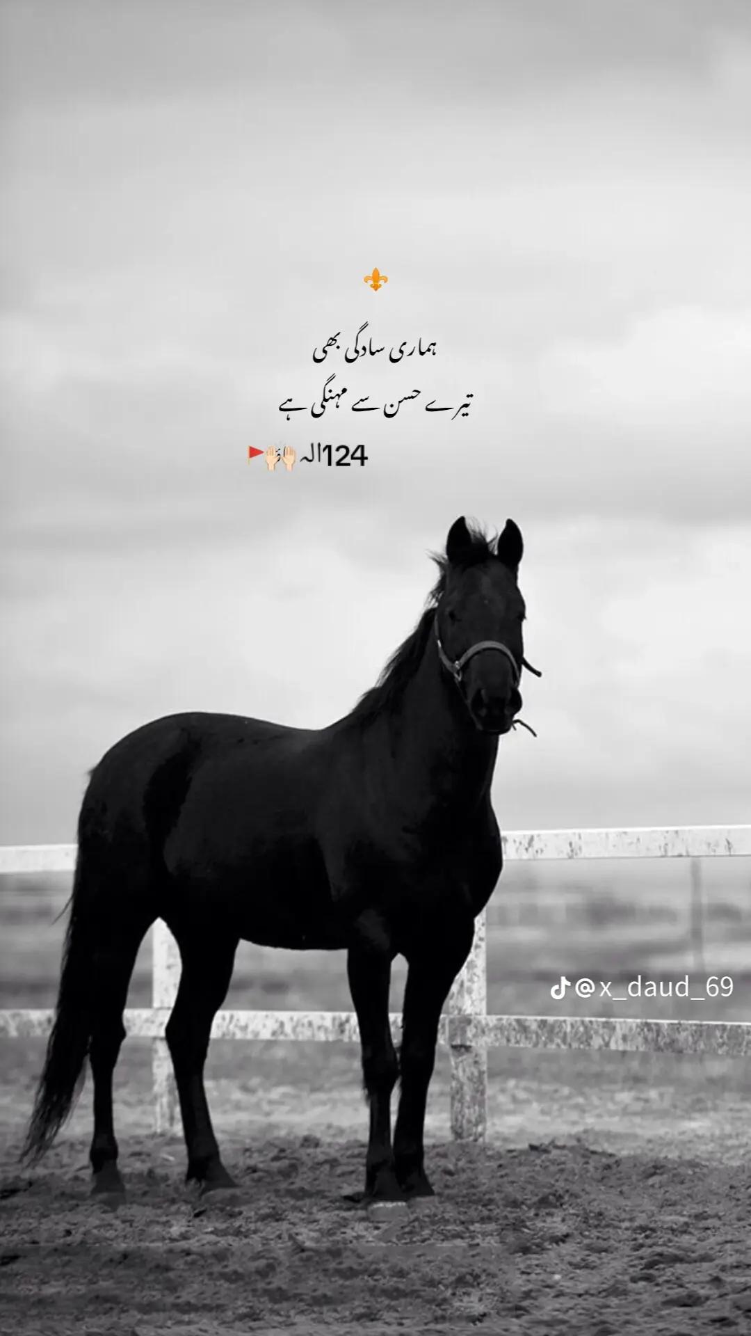 @☠️چوہدری شان گجر 124الہ☠️