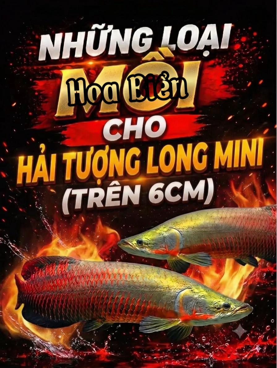 @Hoa Biển - Hải Tượng Long