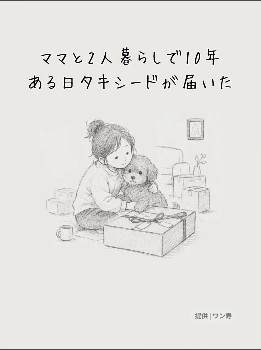 @ワン寿 | taro