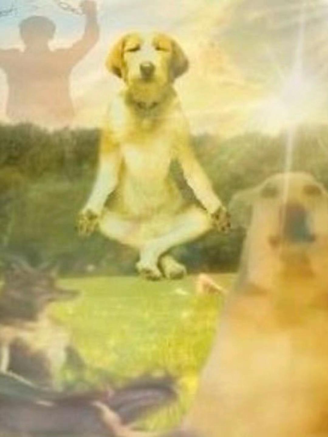 @—