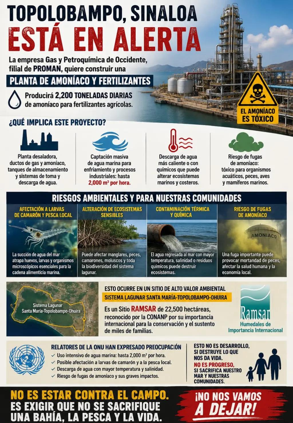 @La Banana Ambiental