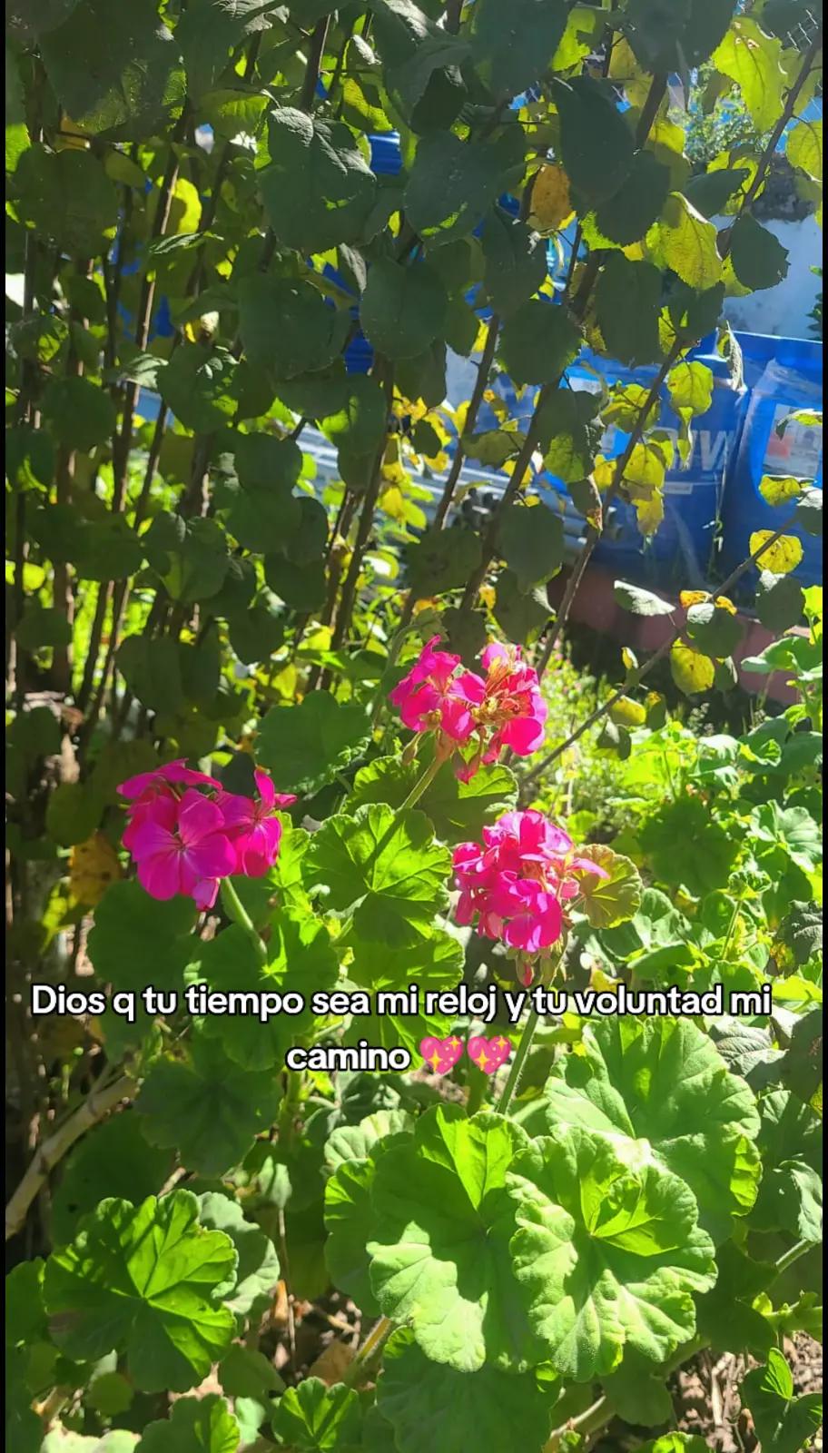 @belensita