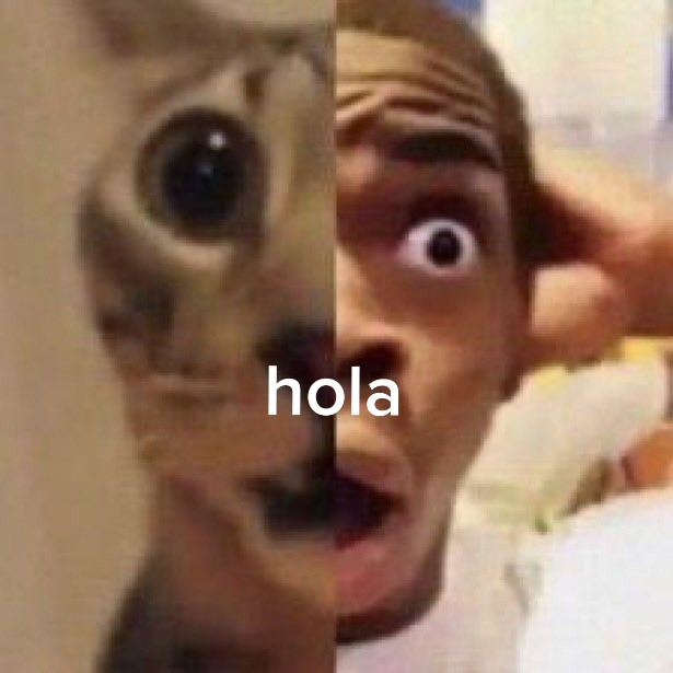 @hola