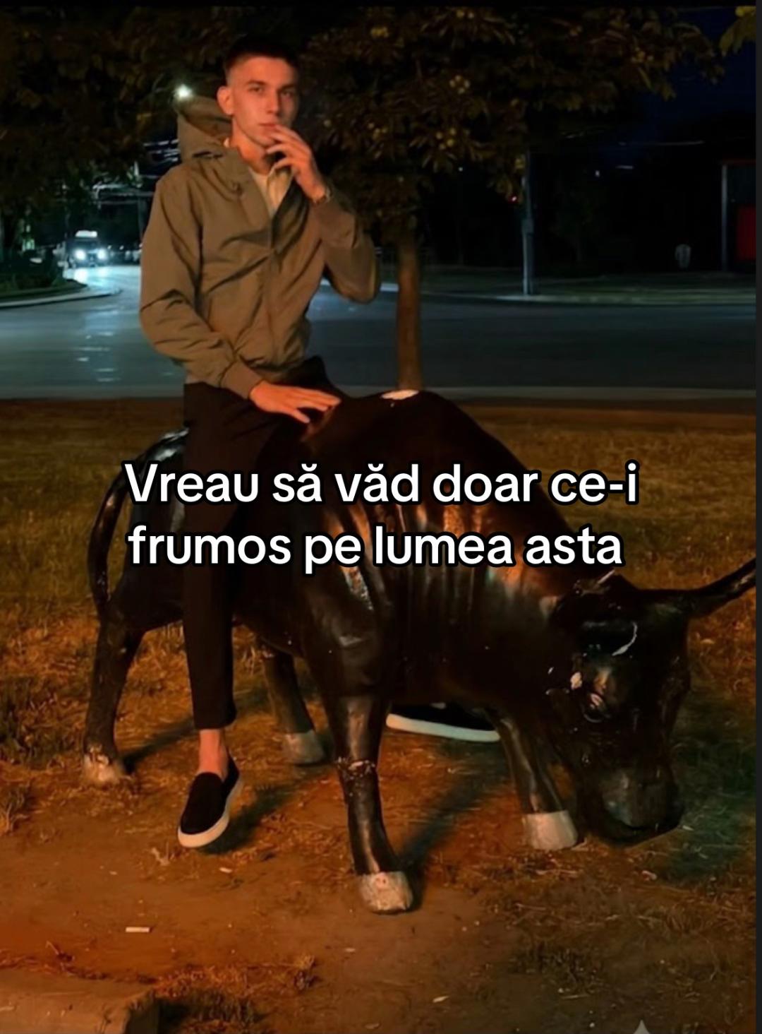 @Gheorghe Garaba