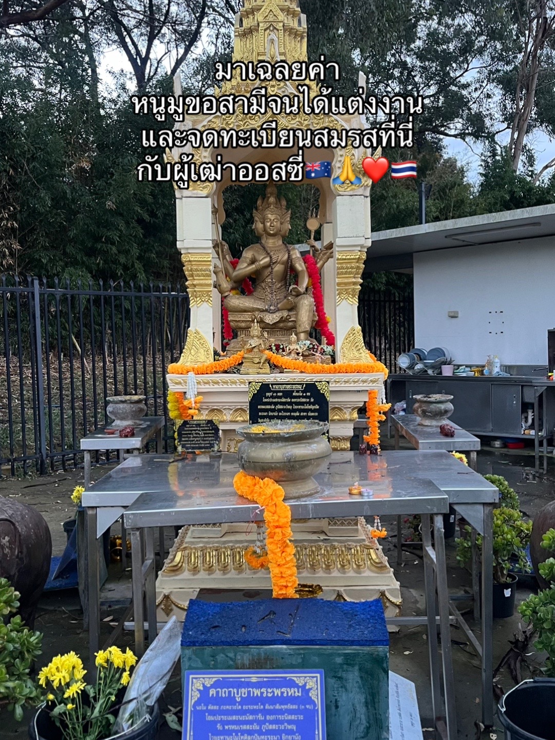 @ทีน่าร้อยโลมูจนได้จดทะเบียนออส
