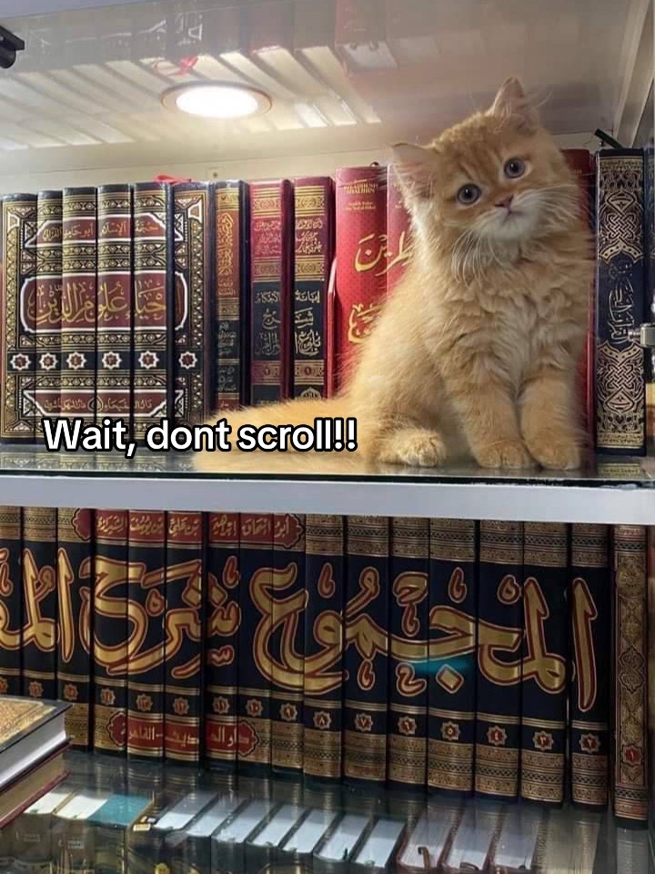 @﷽