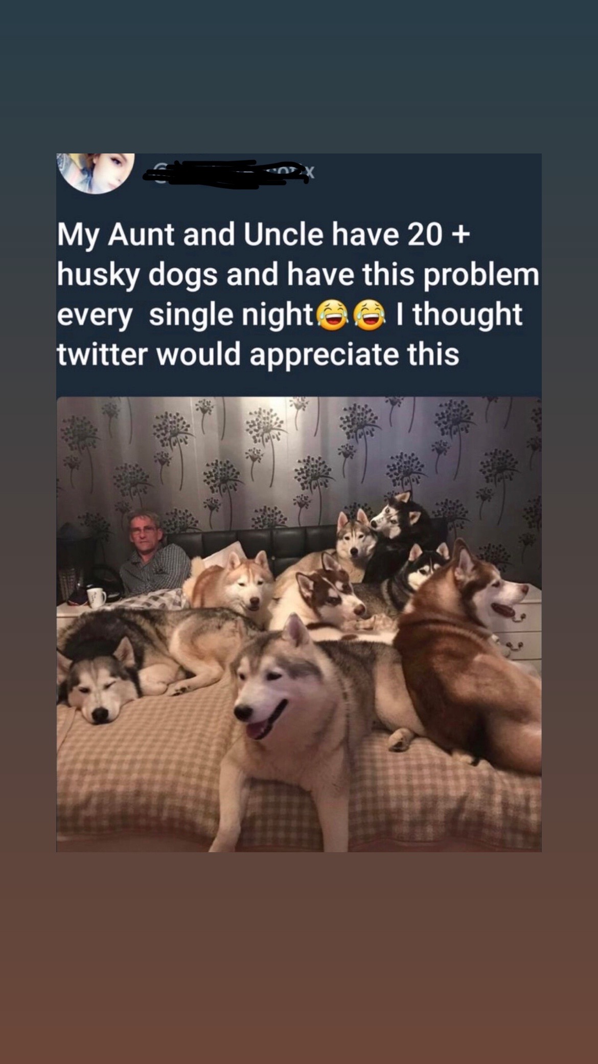 @Snowflakeheaven
