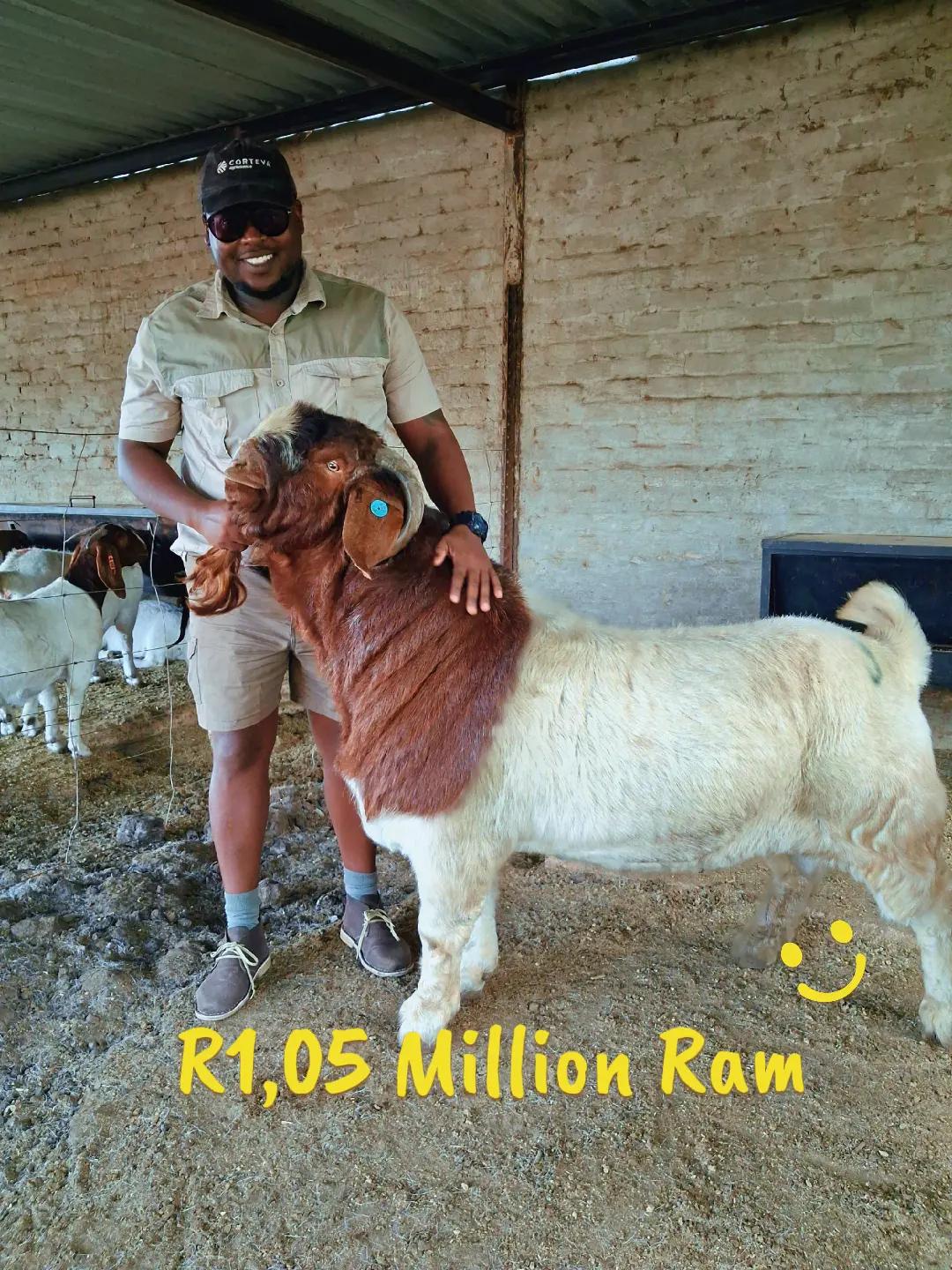 @brothersfarmlivestock