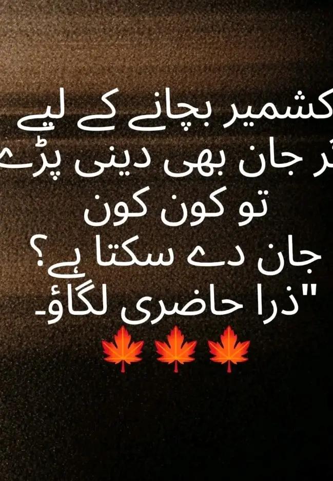@kashmiri 786
