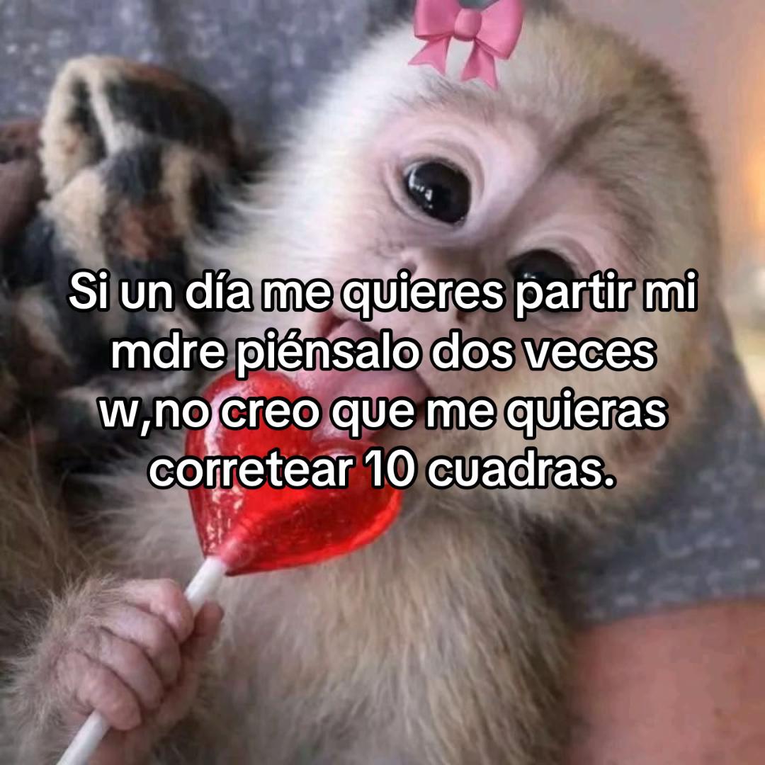 @Sariiiiiiiii