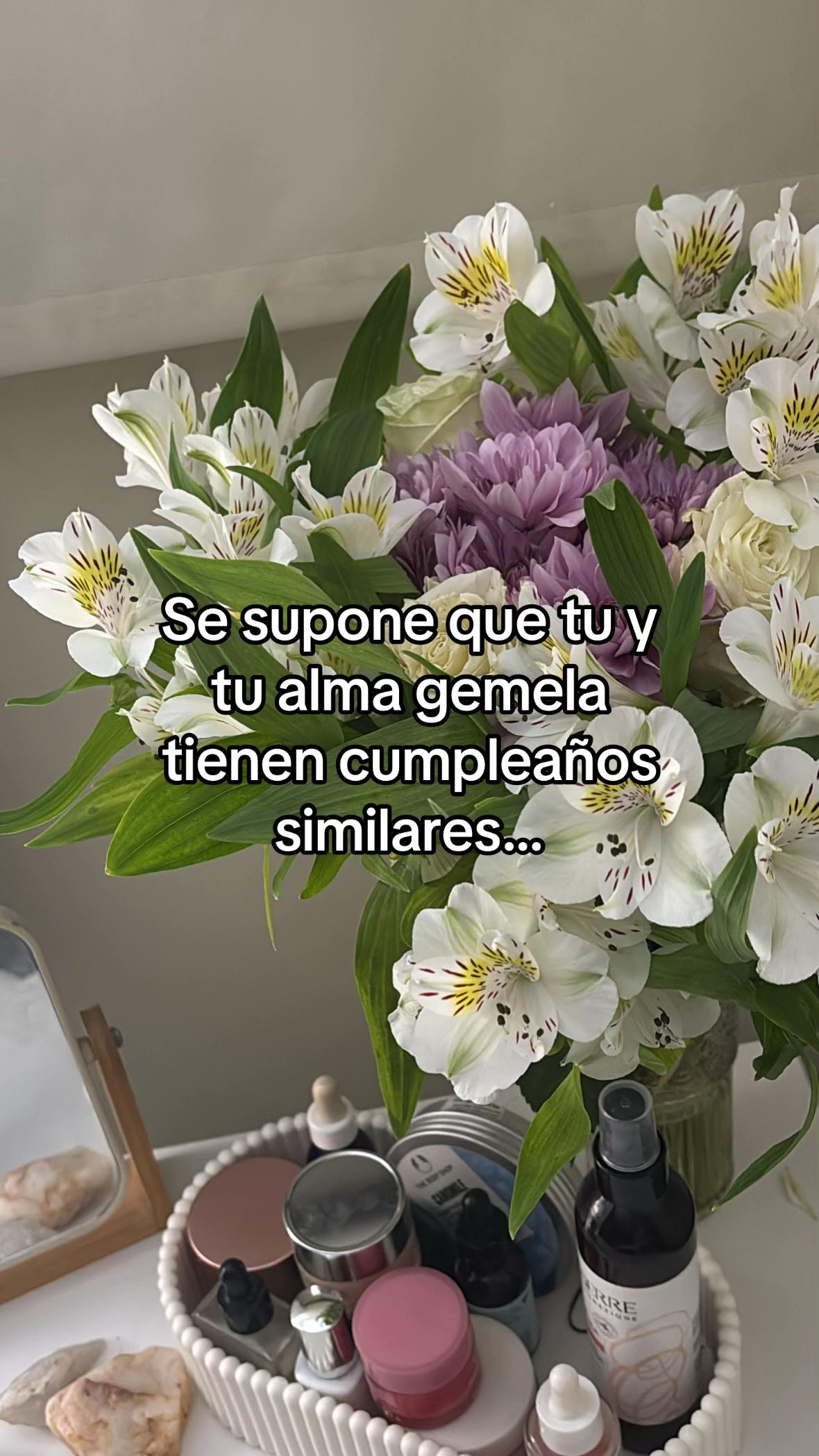 @Andrea Favilla