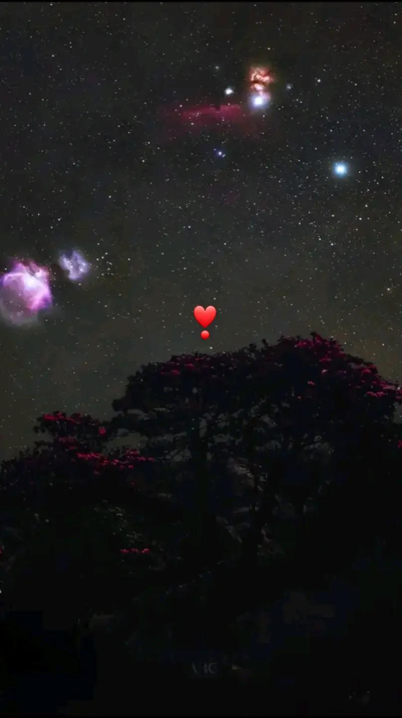 @Rosehm🌹💜