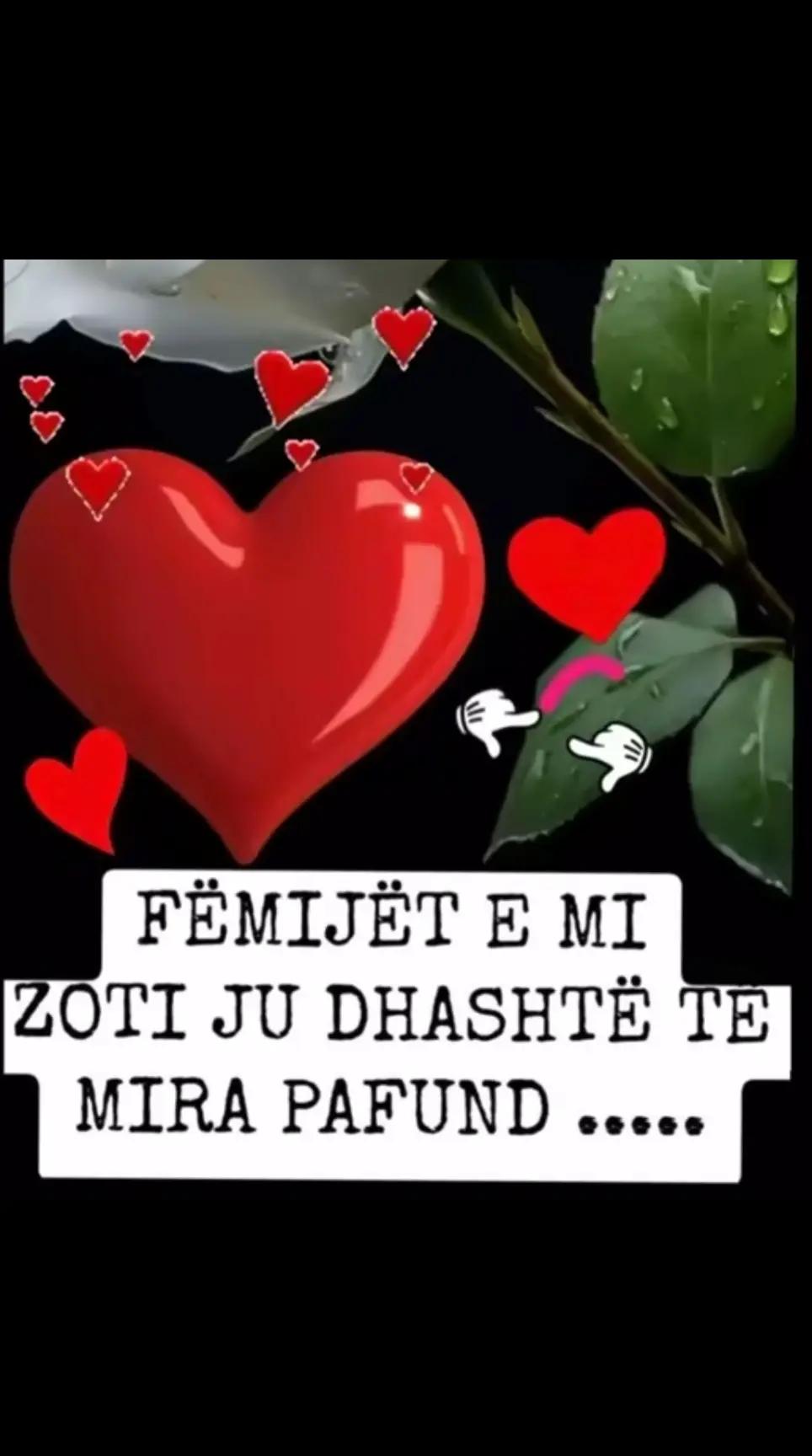 @tina nikolla
