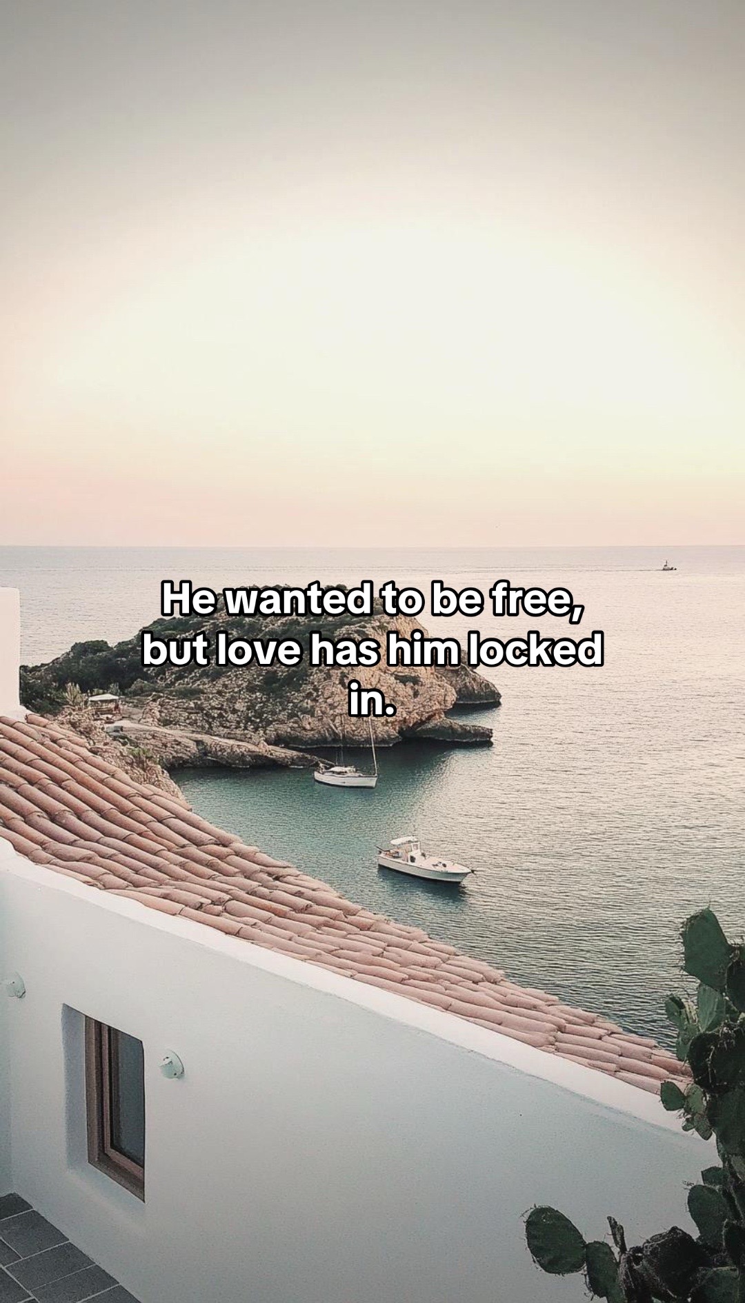 @anikereads