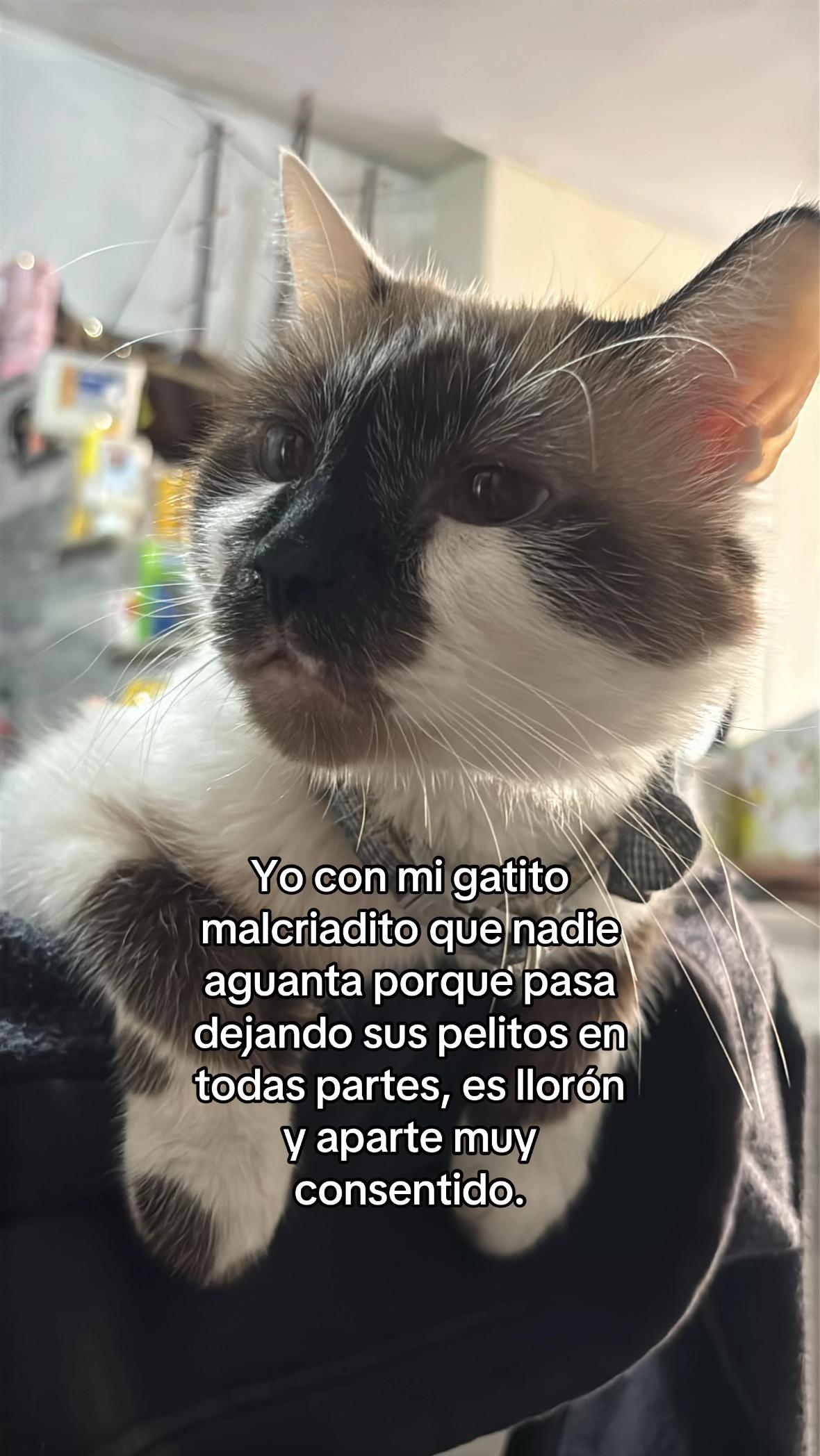 @Mich|