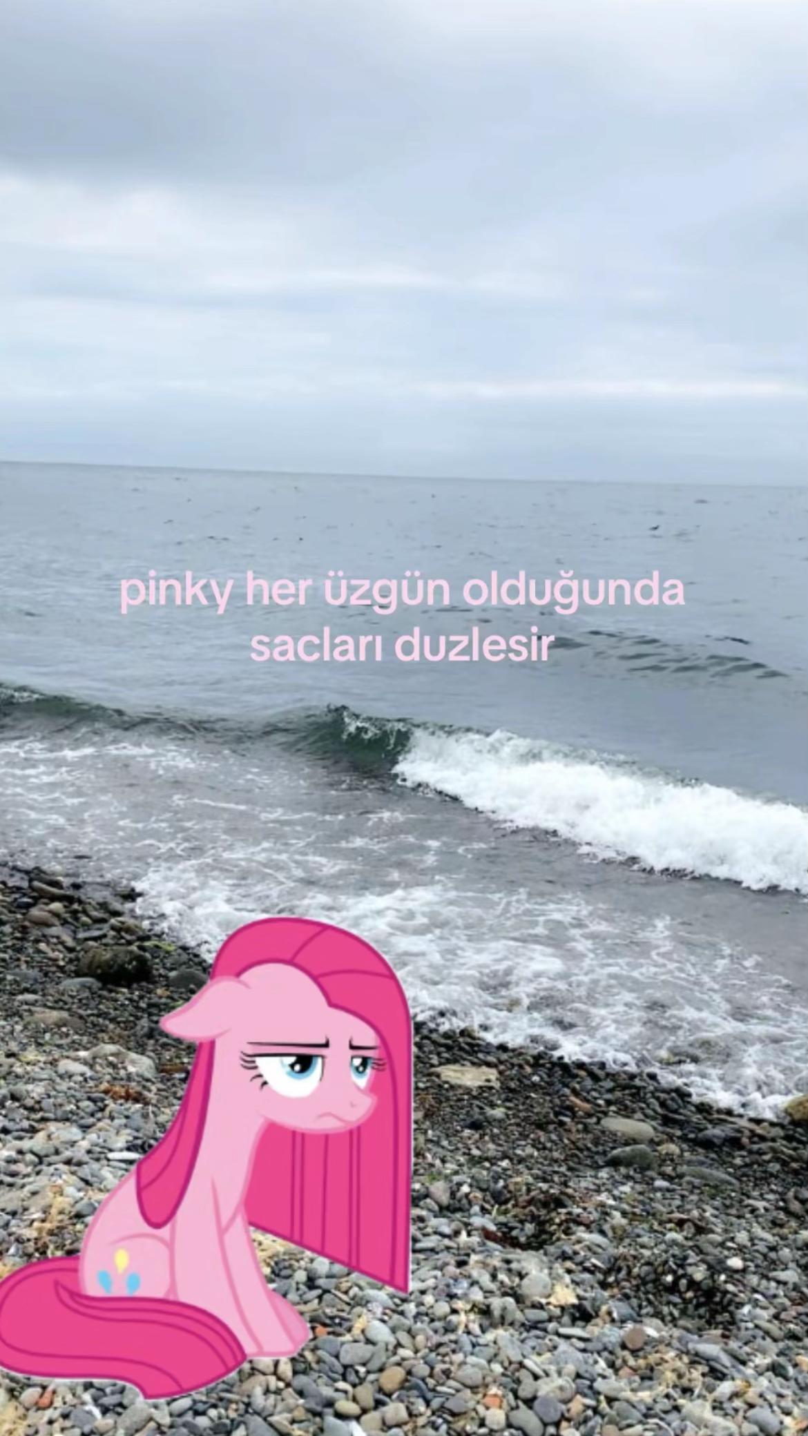 @🐿️