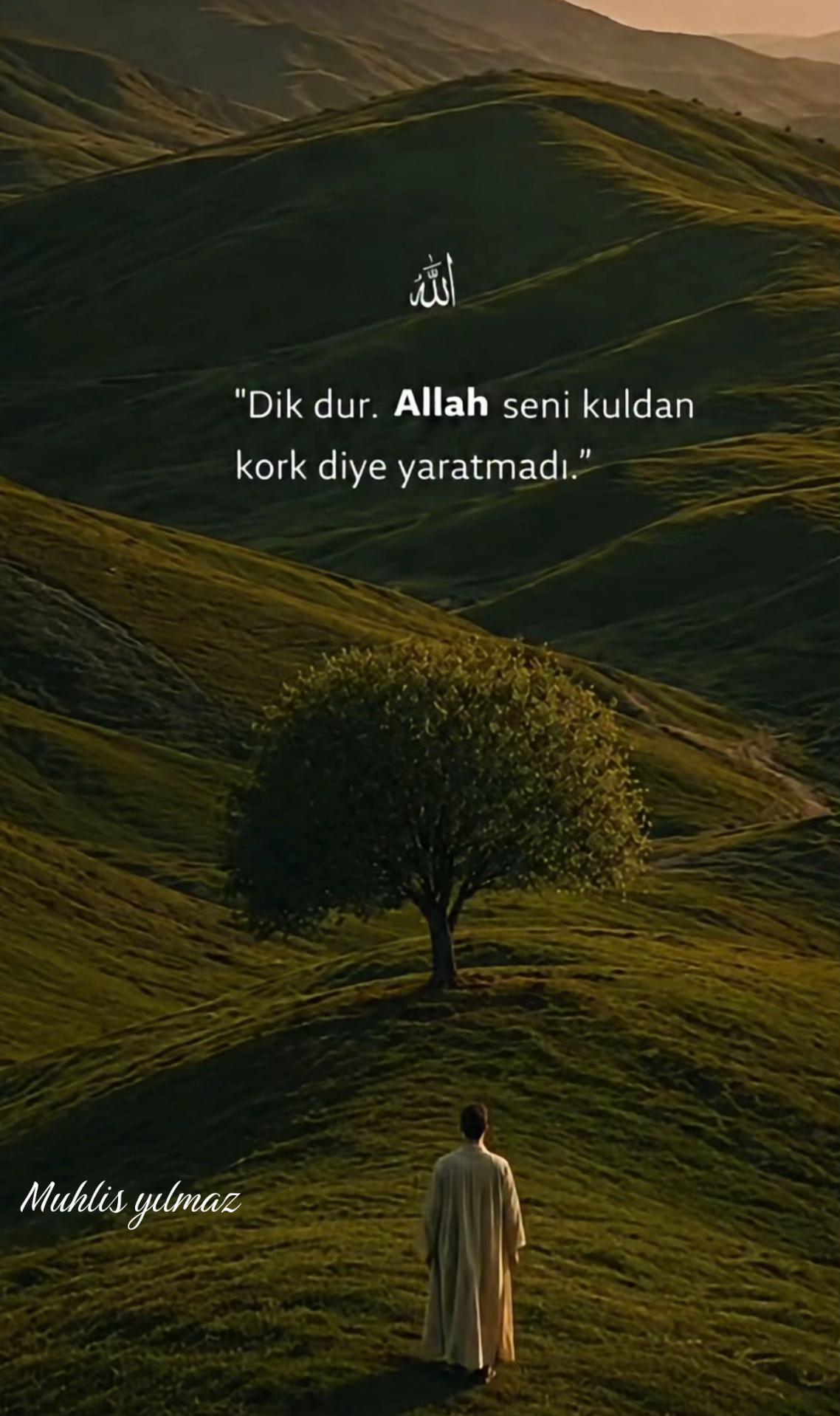 @Muhlis Yılmaz