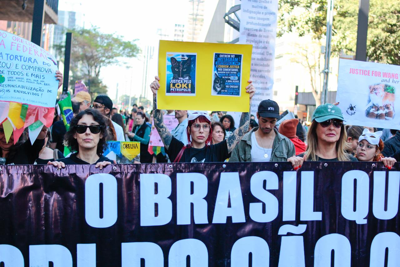 @Resist&ecirc;ncia Felina 🇧🇷