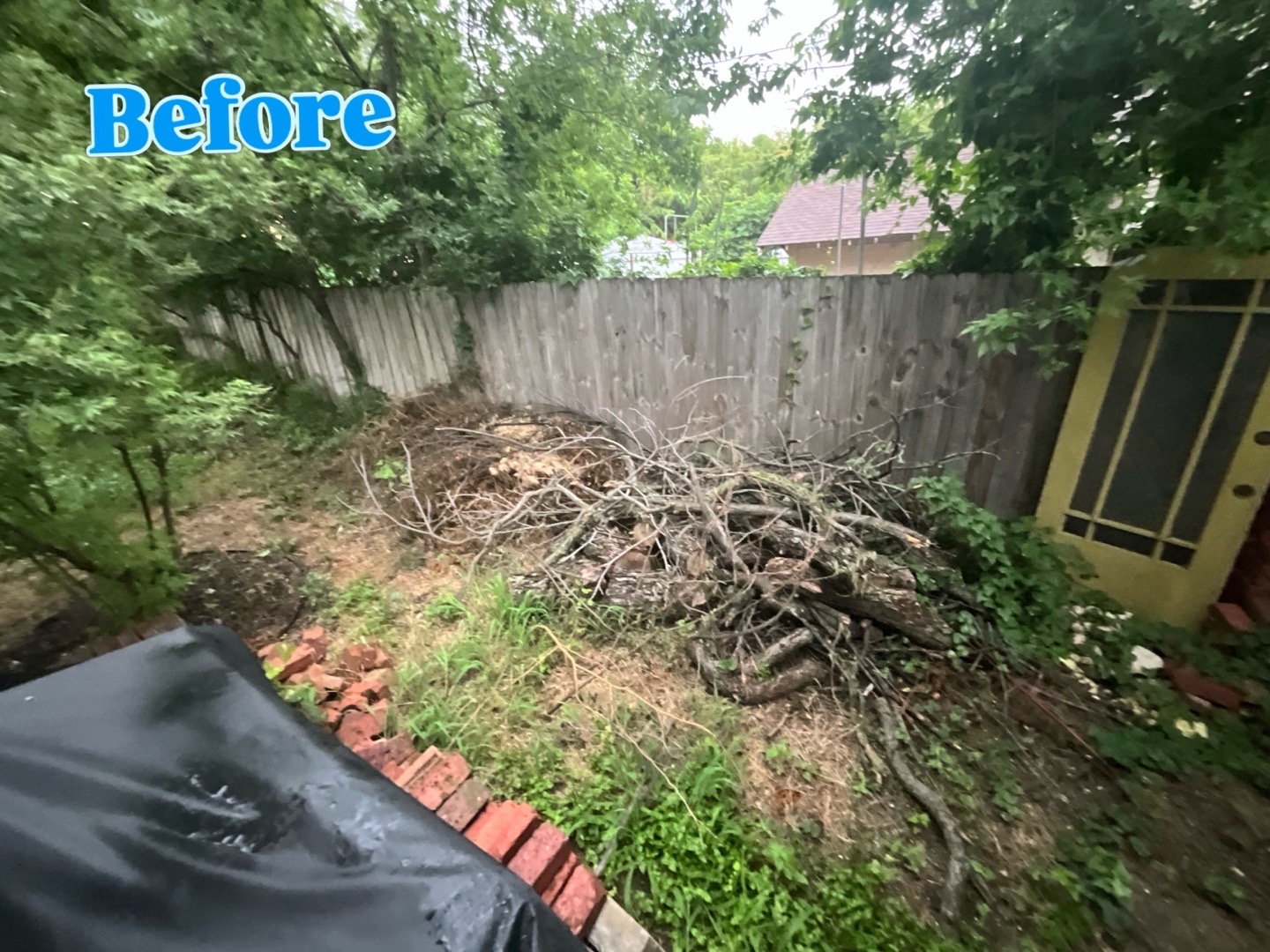 @Live Oak Tree Service