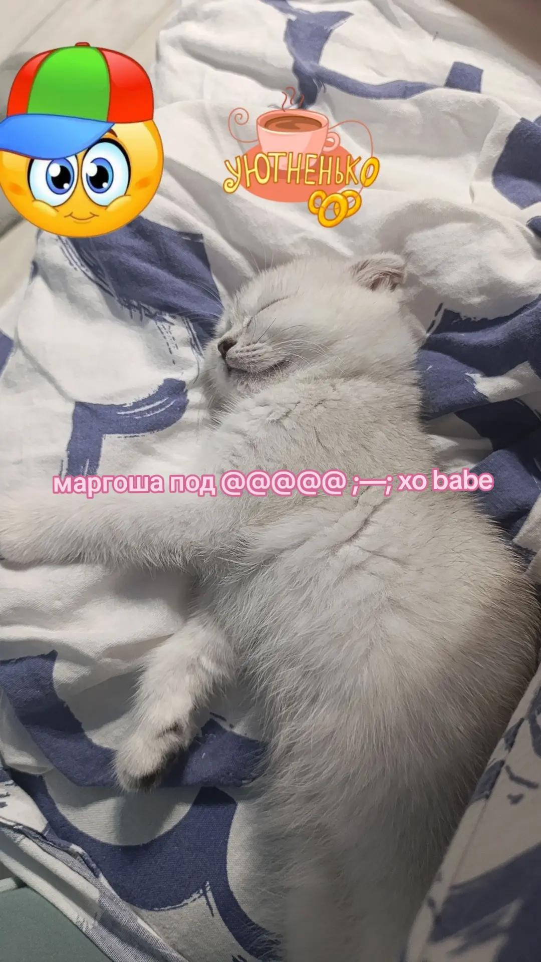 @братзхилс