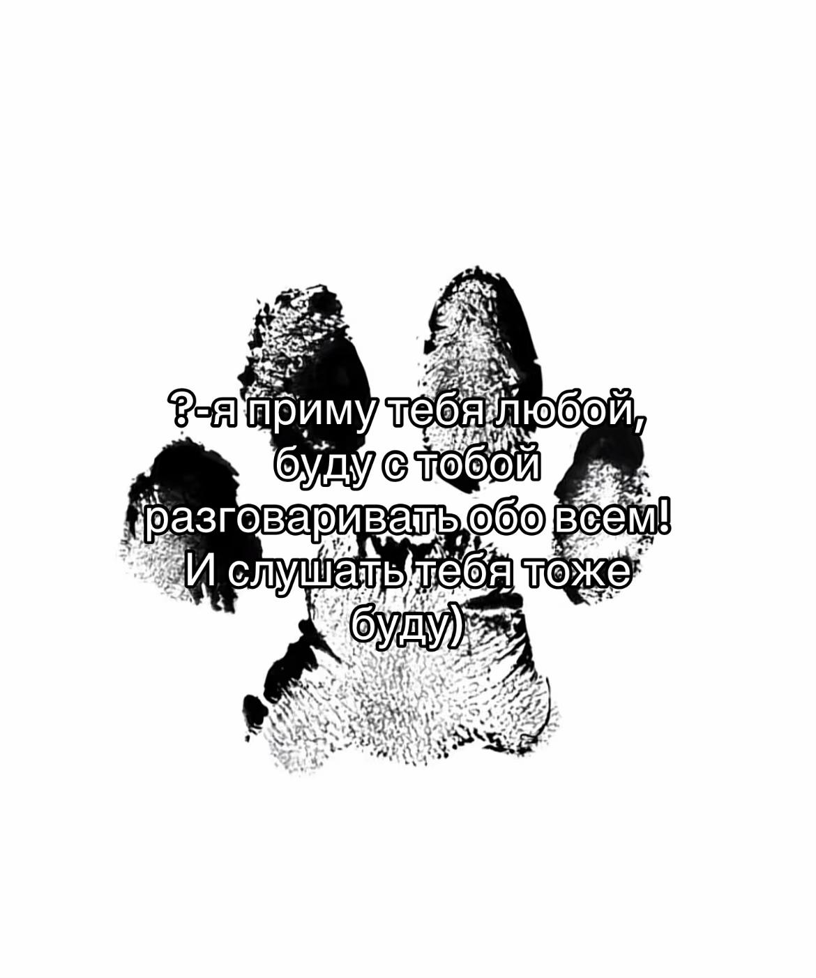 @🐾чёрно-белый ушехлоп🦎