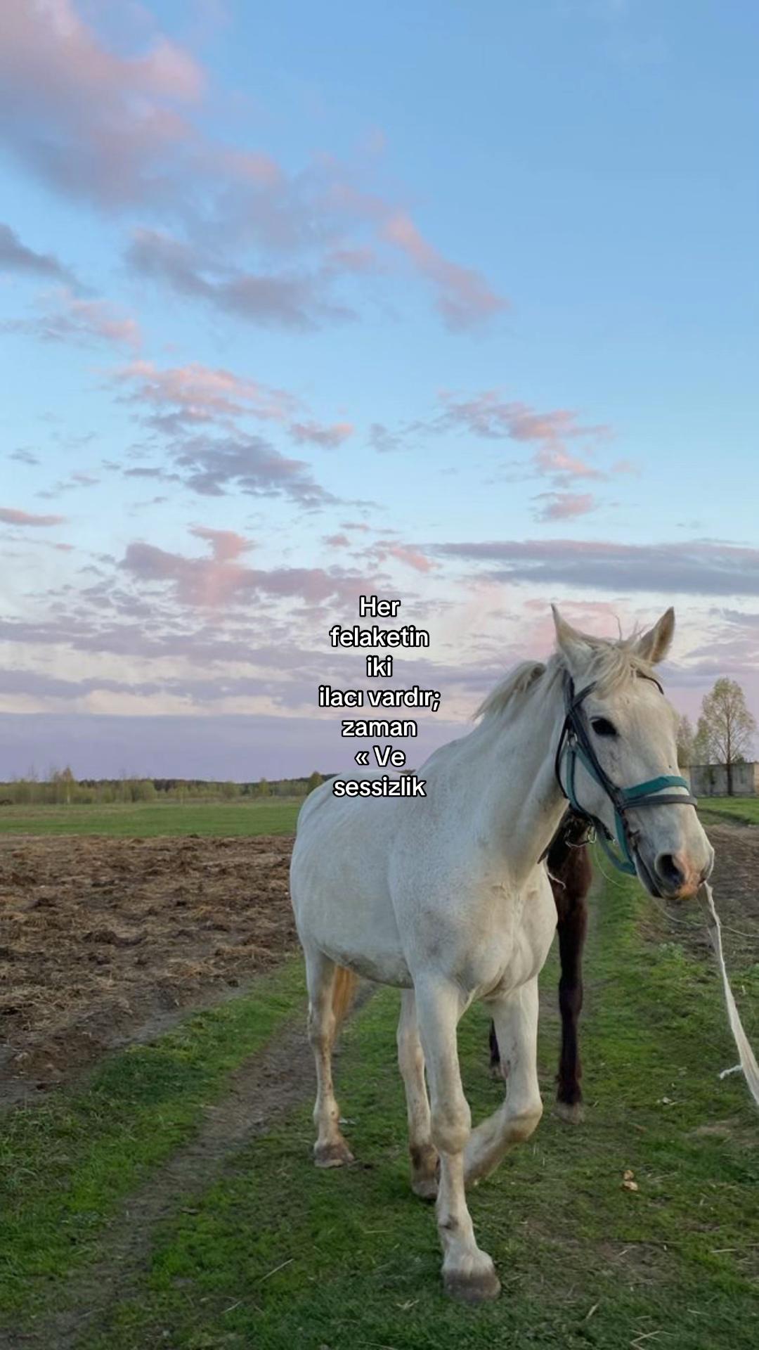 @☾