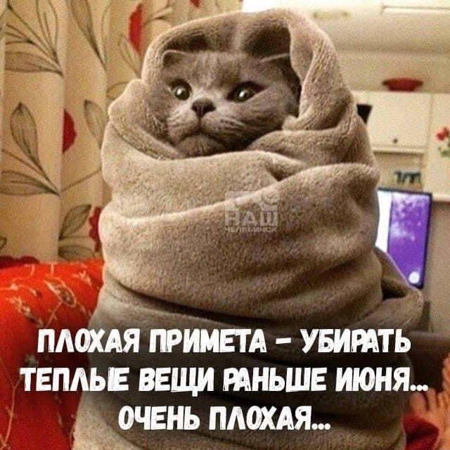 @VREDINKA😜