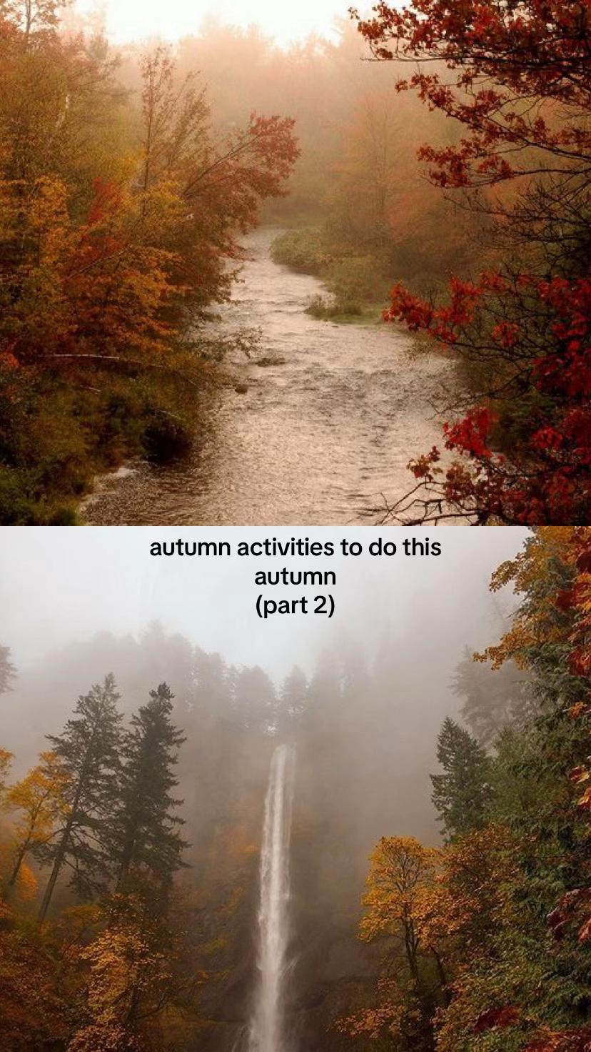 @🪷