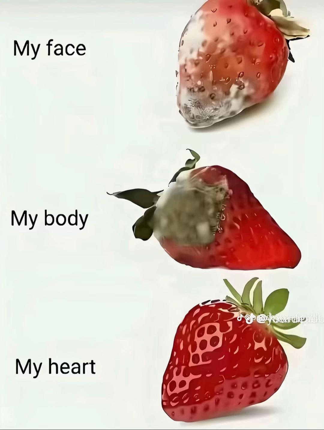 @дхвух🎸