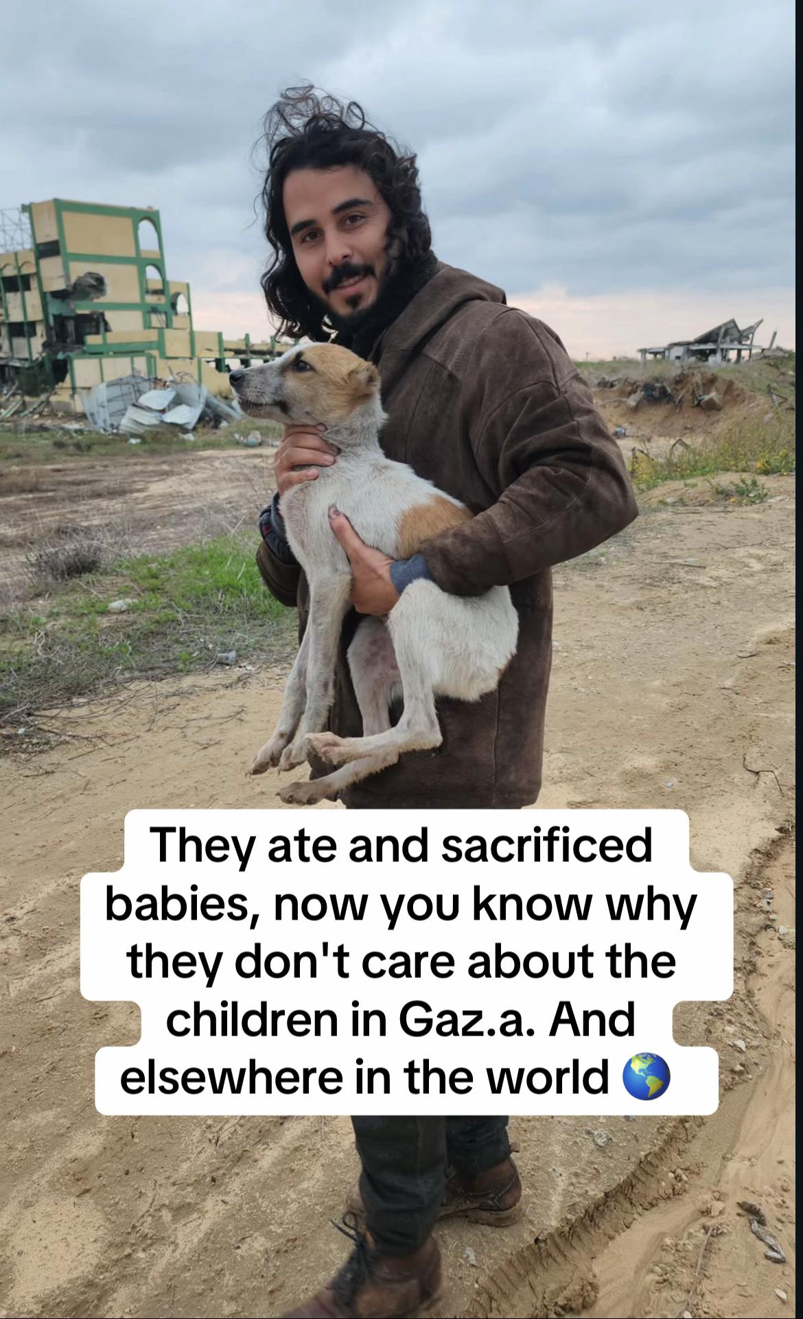 @Gaza Animal Rescue