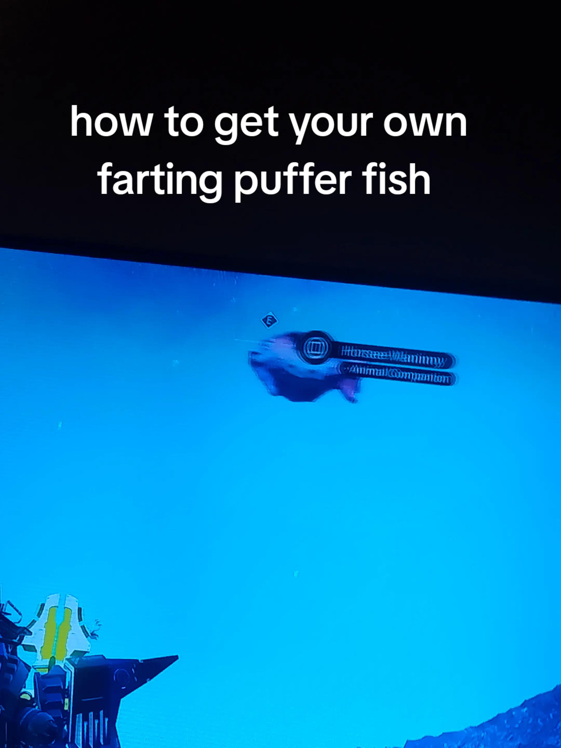 @bob