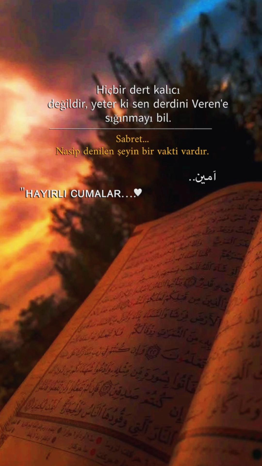 @ravzanur740