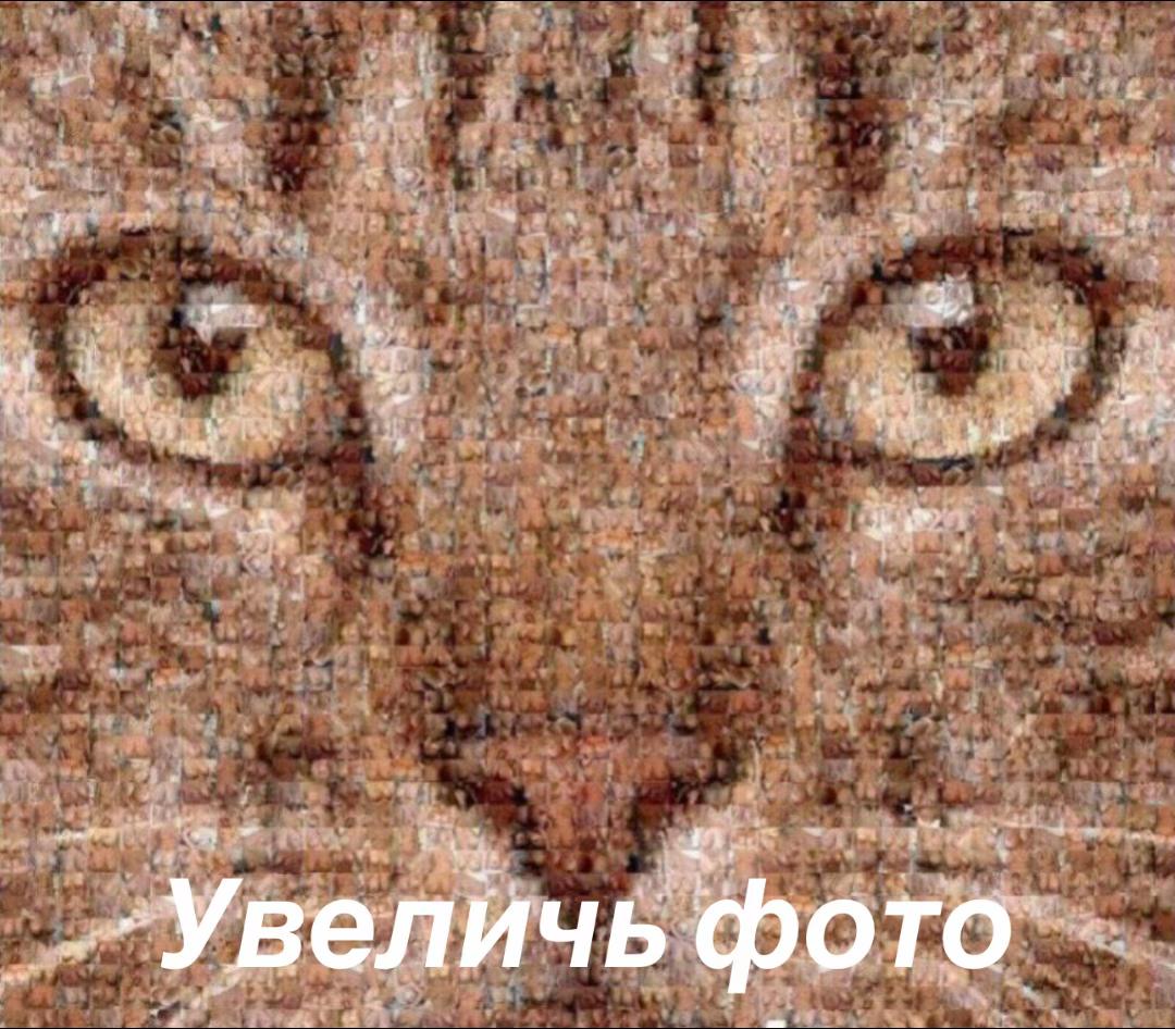 @MOPSICK@