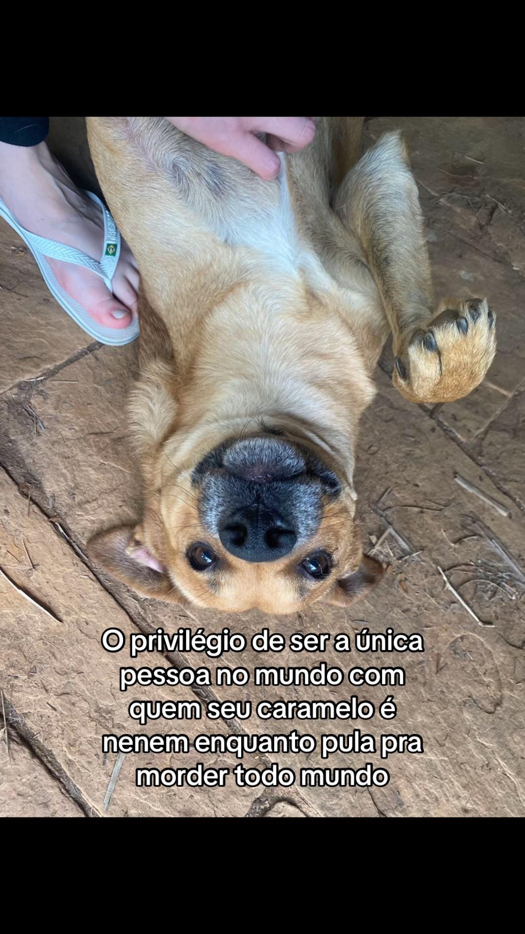 @SUPERVULGAR