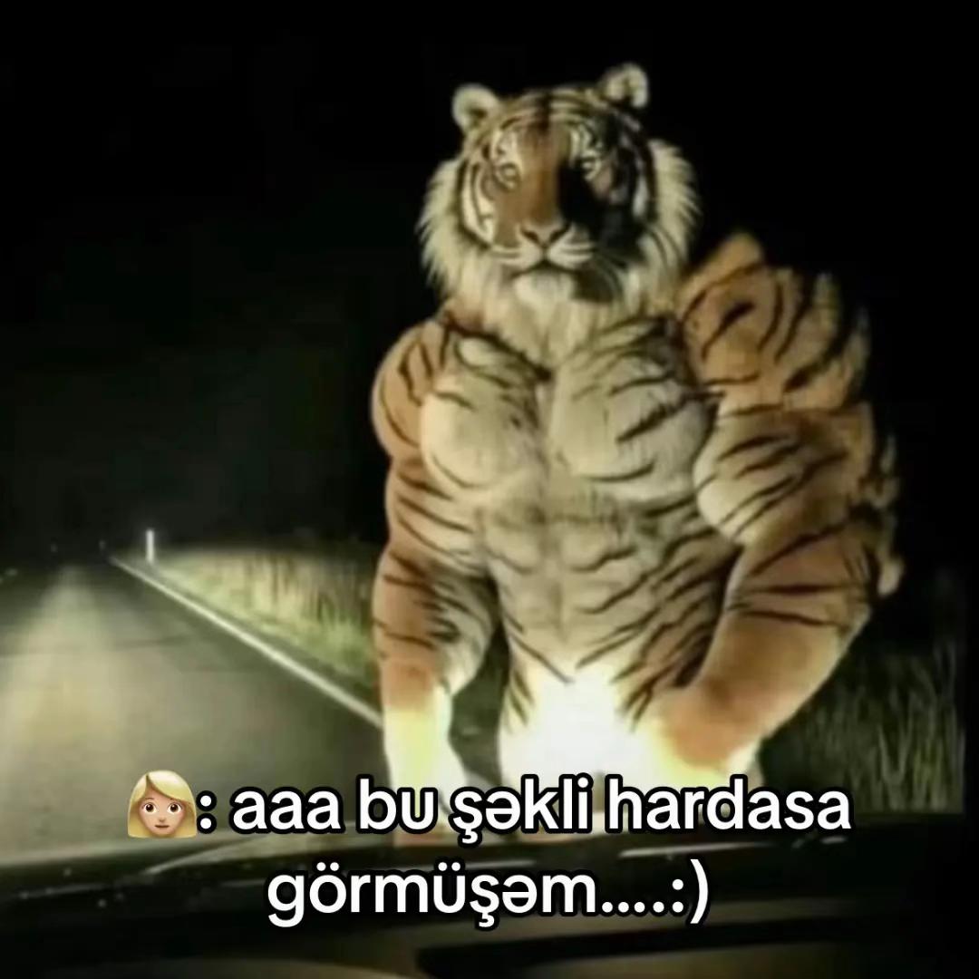 @Qalib999