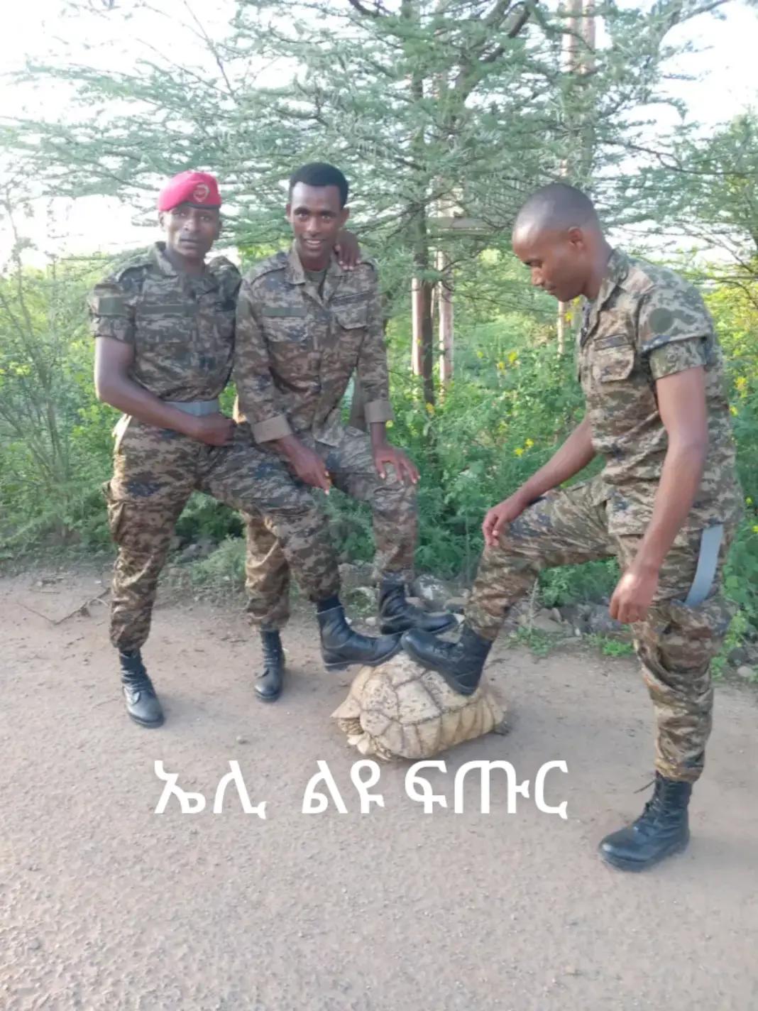 @Mitiku Beyene