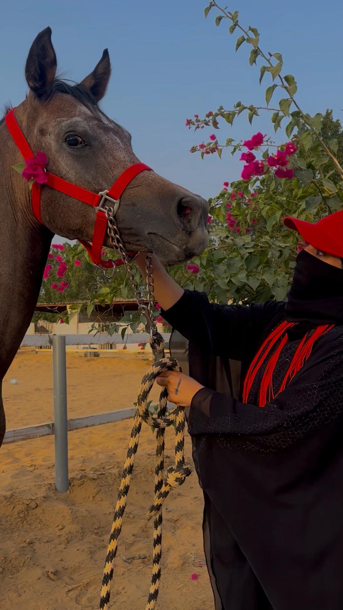@الفارسِه المُلثمة | 1439