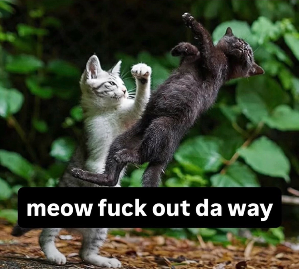 @oddity
