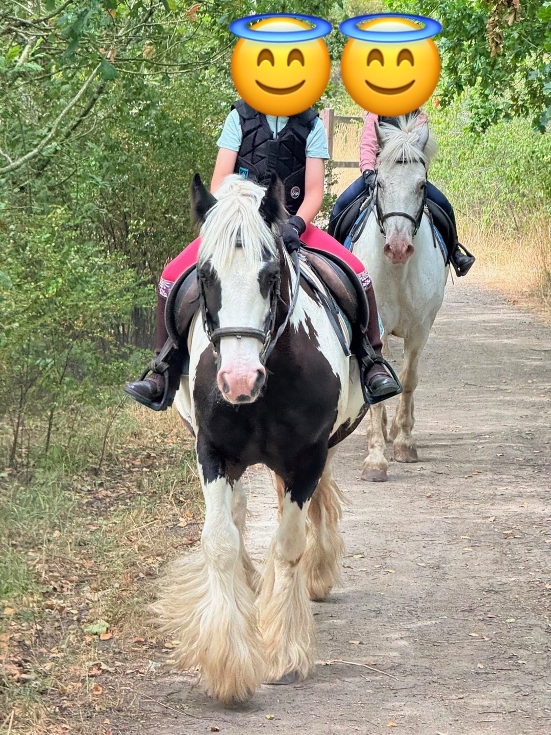 @LottiesHorseAdventures🦄🐴