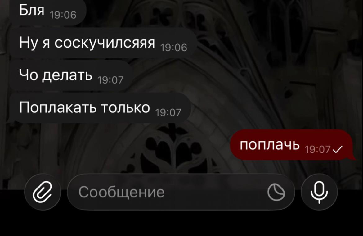 @kitiket🙀