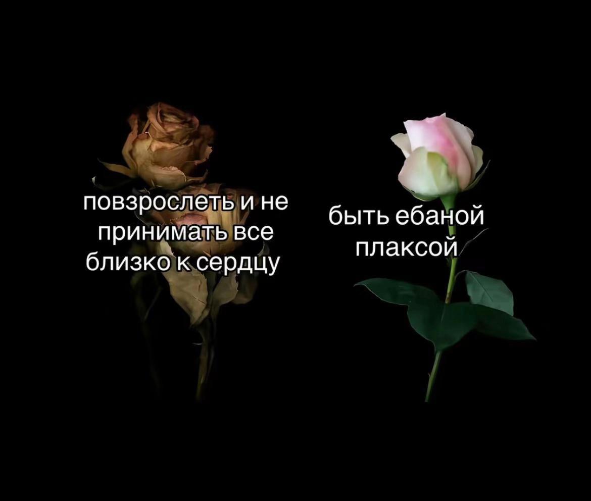 @перцовка